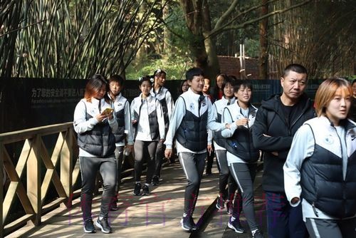走进熊猫基地,女乙联赛休息日活动不断 走进熊猫基地,女乙联赛休息日活动不断